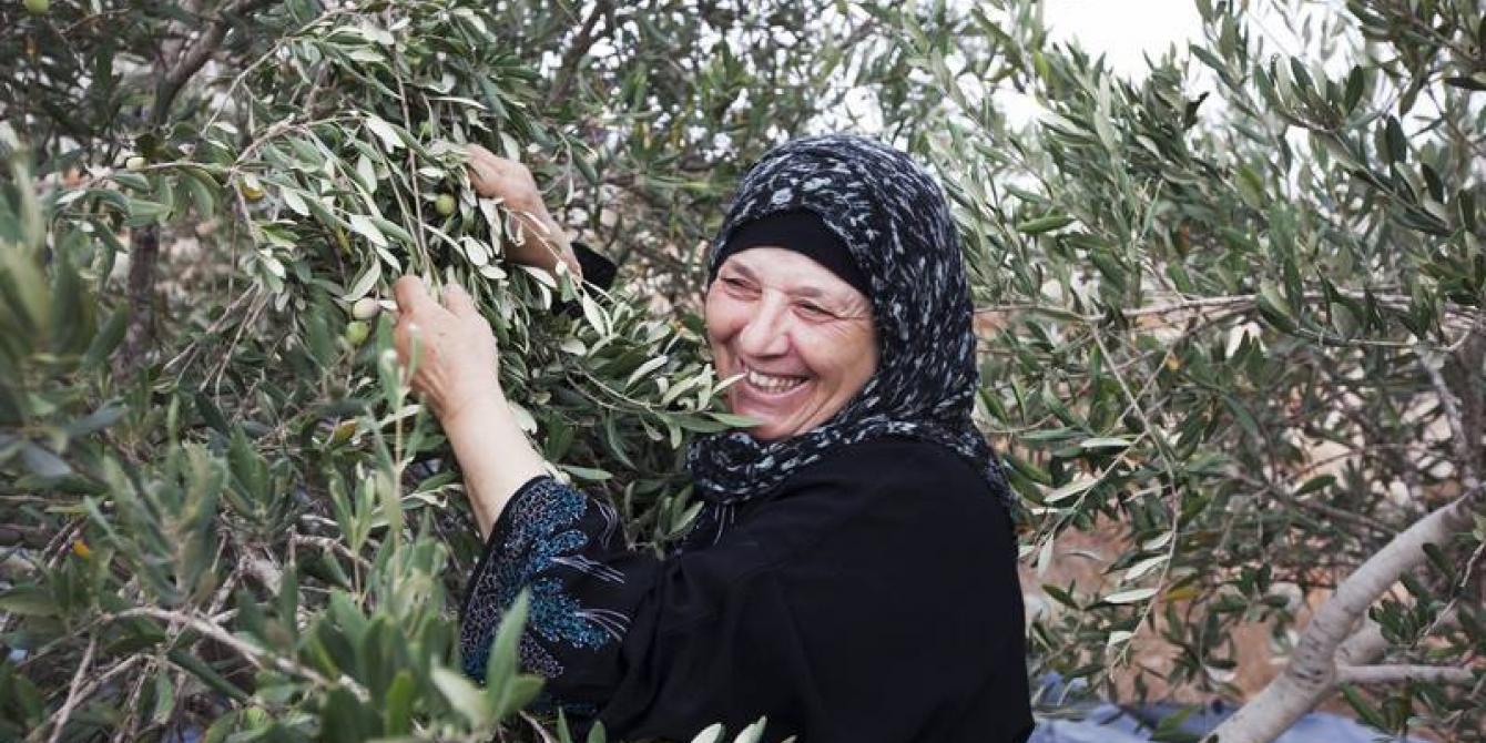 عمل منظمة أوكسفام في الأراضي الفلسطينية المحتلة وإسرائيل