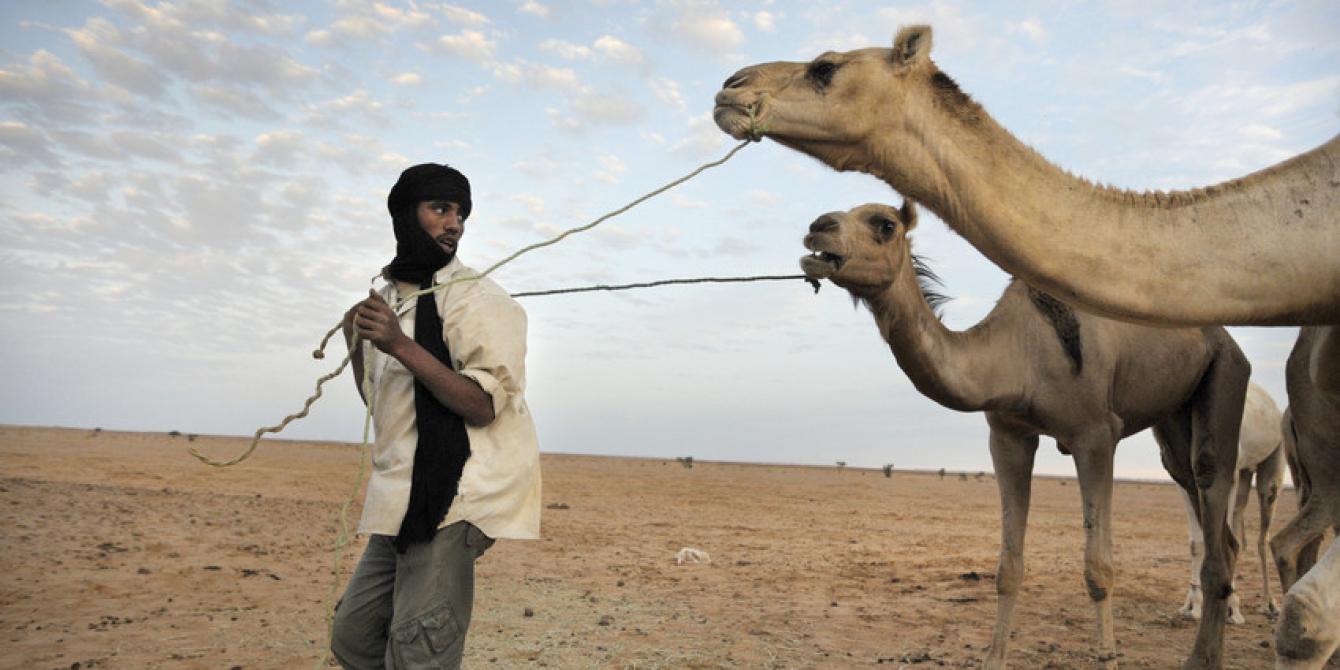 أوكسفام الصحراء الغربية أوكسفام الصحراء الغربية