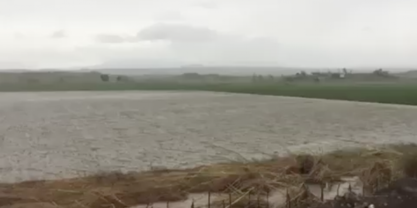 Oxfam Mangkhut Aftermath - Damage to agriculture Oxfam Mangkhut Aftermath - Damage to agriculture