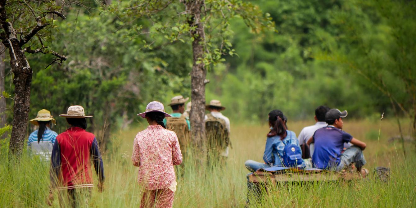 Protecting the forest before it’s too late Protecting the forest before it’s too late