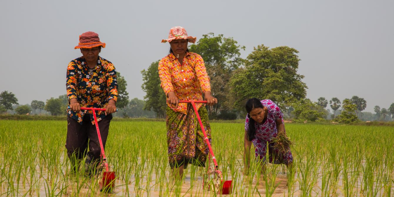 Savann Oeurm/Oxfam Helping Farmers to Increase Yields and Knowledge