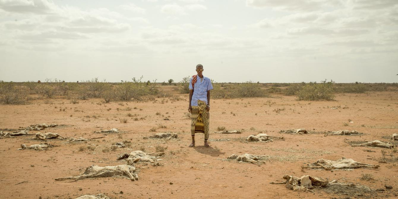 A man standing by carcasses of livestock in Somaliland. Allan Gichigi / Oxfam