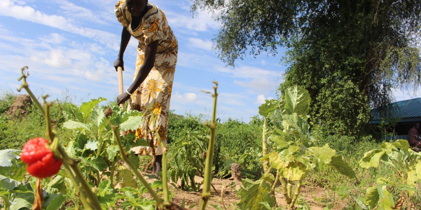 Rebecca in her vegetable farm in Bor, South Sudan. Tim Bierley/Oxfam Rebecca in her vegetable farm in Bor, South Sudan. Tim Bierley/Oxfam