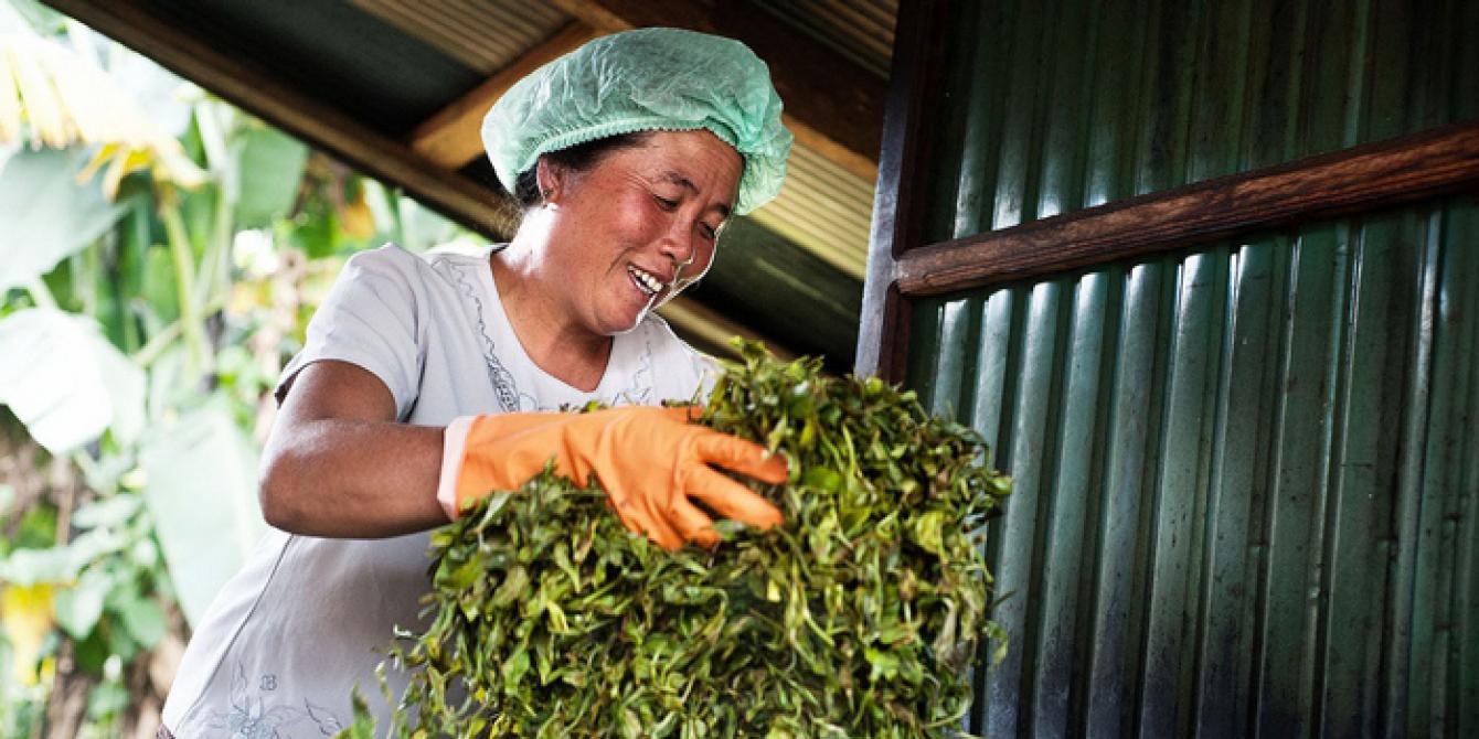 Sustainable Development and Responsible Investment woman mix tea leaves