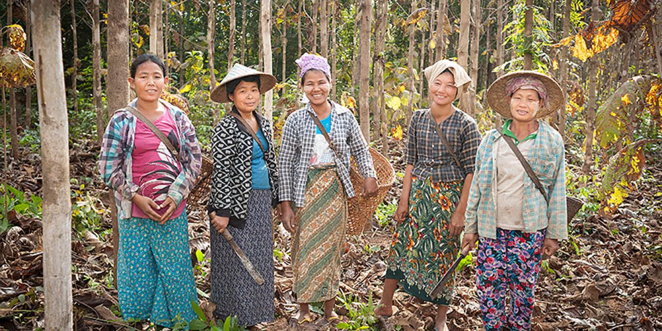 Kachin Community Forestry, Photo by: D.Hempenstall/Oxfam 5 Women in Kachin Community Forestry