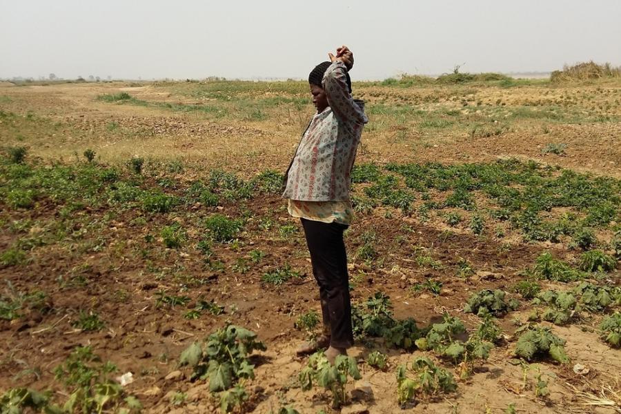 Act now to demand the government to invest in the farmers who grow our food Act now to demand the government to invest in the farmers who grow our food