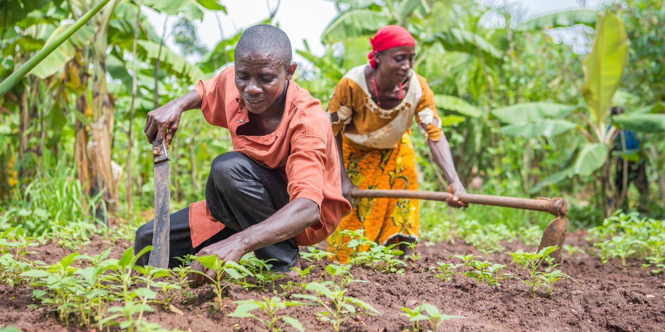 Small holder farmers in Burundi Small holder farmers in Burundi