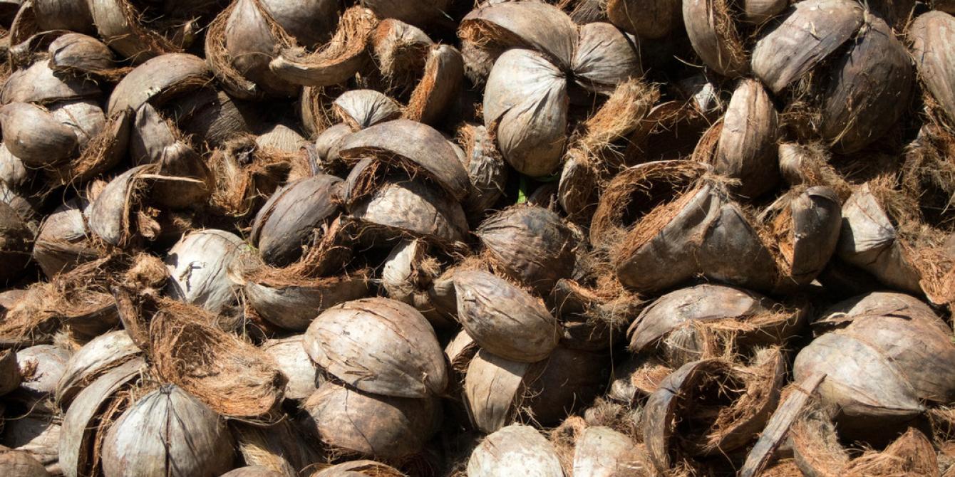 Coconut husks collected at the Hernani Integrated Coconut processing Plant and Agribusiness Livelihood Centre. (Photo: Caroline Gluck) Coconut husks collected at the Hernani Integrated Coconut processing Plant and Agribusiness Livelihood Centre. (Photo: Caroline Gluck)