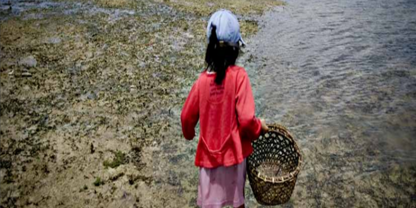A little girl gleans shells on the island of Mahaba, Surigao del Sur, to augment the family income. On average, the poorest Filipino households live on less than a dollar a day, 60% of which is spent on food. (Original photo: Veejay Villafranca) A little girl gleans shells on the island of Mahaba, Surigao del Sur, to augment the family income. On average, the poorest Filipino households live on less than a dollar a day, 60% of which is spent on food. (Original photo: Veejay Villafranca)