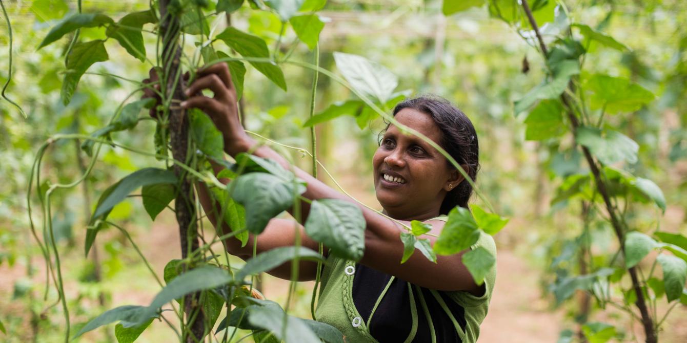 Woman tending to her crops