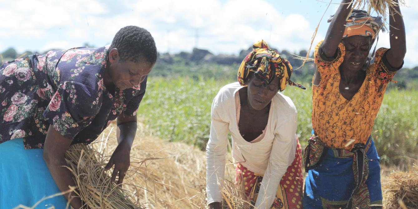 Oxfam working with a partner RUDI have trained farmers in Shinyanga region on modern rice production techniques to increase their incomes. Photo: Bill Marwa/Oxfam Oxfam working with a partner RUDI have trained farmers in Shinyanga region on modern rice production techniques to increase their incomes. Photo: Bill Marwa/Oxfam